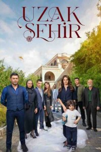 Далекий город