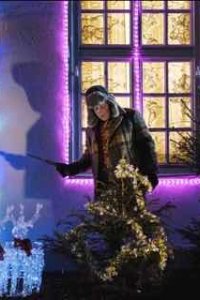 Все иголки на елке