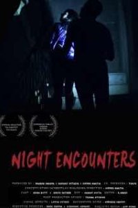 Ночные встречи