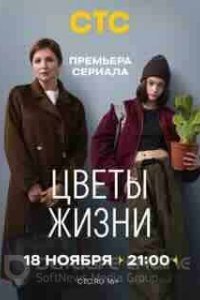 Цветы жизни