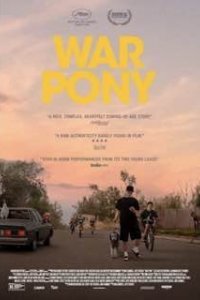 Боевой пони