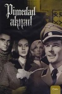 Темные окна