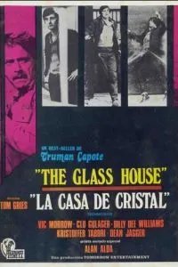 Стеклянный дом