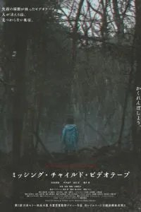 Видеозапись исчезновения ребёнка