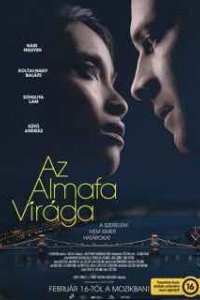 Цветок яблони