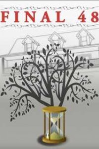 Последние 48 часов