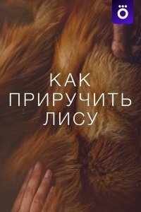 Как приручить лису